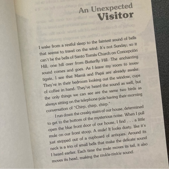 ATHENEUM Latina book set - Picture 5 of 7